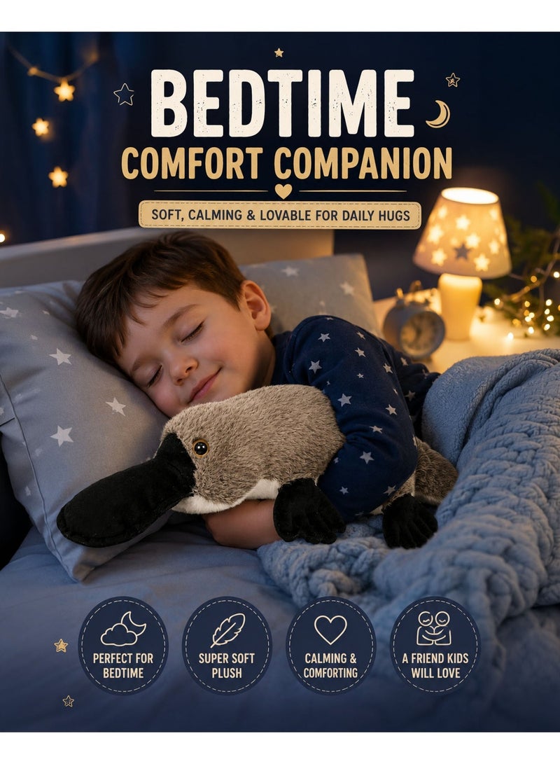 Wild Planet Platypus Plush Toy 40cm Soft Stuffed Animal Plushie Realistic Duck-Billed Platypus Teddy Wildlife Ocean Animal Cuddly Pillow Toy for Kids Boys Girls Baby Sleeping Hugging Educational Gift - Image 2