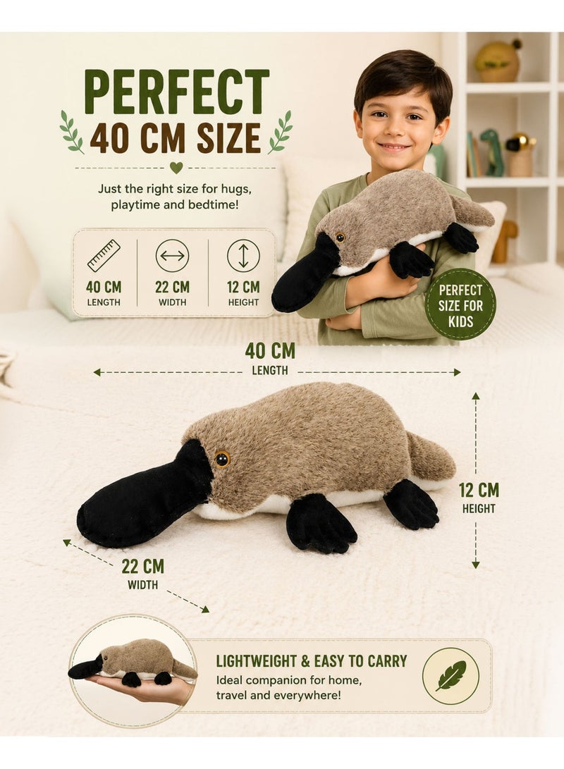 Wild Planet Platypus Plush Toy 40cm Soft Stuffed Animal Plushie Realistic Duck-Billed Platypus Teddy Wildlife Ocean Animal Cuddly Pillow Toy for Kids Boys Girls Baby Sleeping Hugging Educational Gift - Image 3
