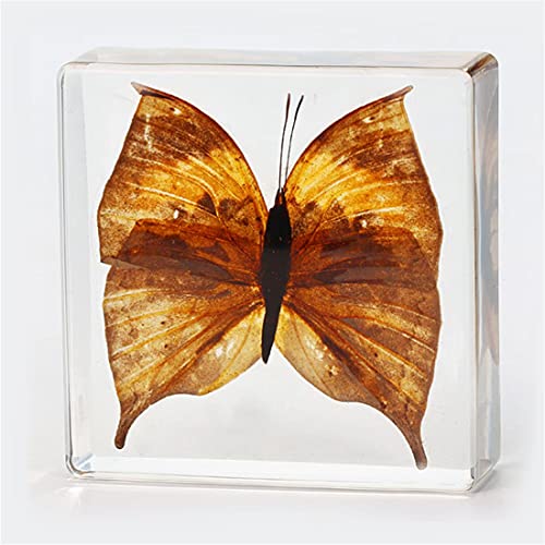 F FYJS 8PCS Resin Molds Silicone Kit,Epoxy Resin Casting Molds Square Pendant Molds,Epoxy Mold for Resin Jewelry, Paperweight, Diorama,Dried Flower Leaf, Insect Specimen - Image 2