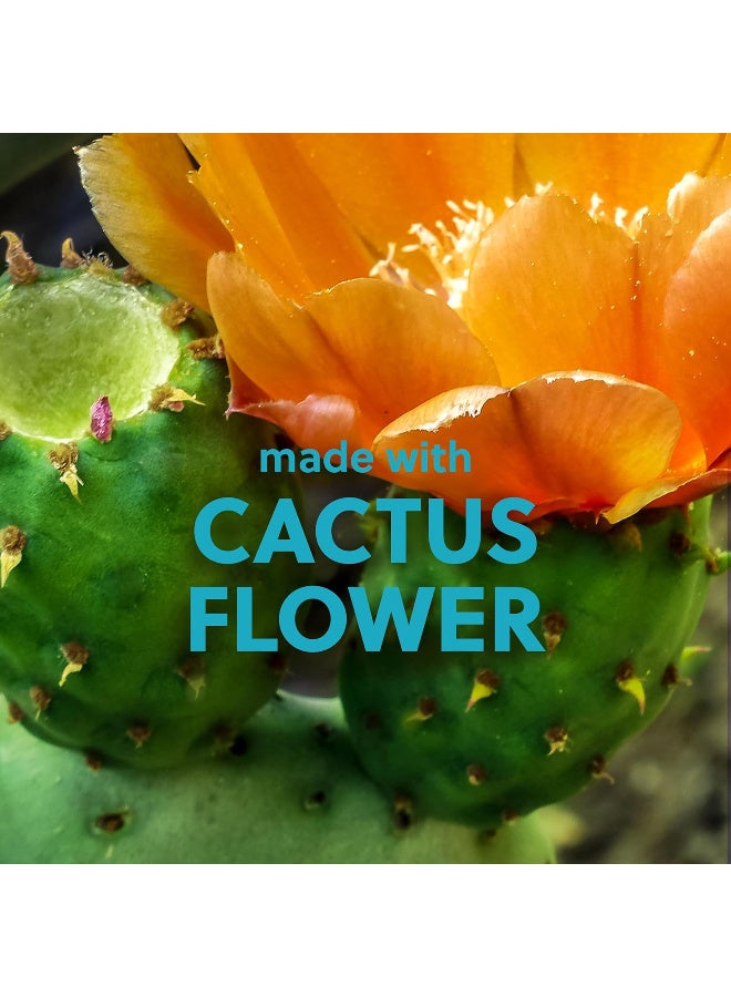 Tree Hut Desert Haze Shea Sugar Scrub, Exfoliating, Hydrating & Moisturizing Body Scrub with Shea Butter & Nourishing Essential Oils, Smooth & Soften Skin, 18 oz - Image 2