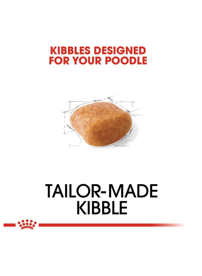 رويال كانين تولد هيلث نيوترشن بودل بالغ 1.5 كجم - Image 2