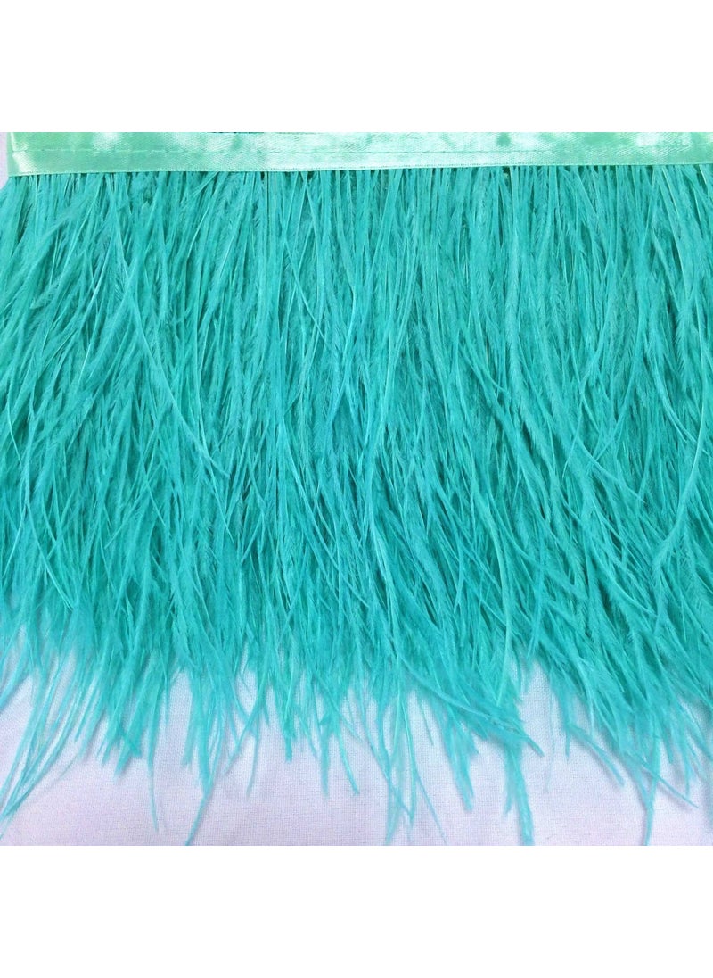 Embroidered Ostrich Feather Light Green 12 cm 1 Meter - pzsku/ZAA230738C0D20B1655ACZ/45/_/1741272232/53e0f46a-a950-4984-a785-2cb4efd2f758