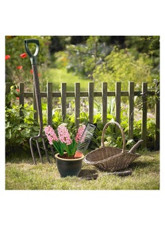Y&D Plant Watering Devices Drip Irrigation Bottle Stakes Self Spikes Vacation System Slow Release Perfect for Indoor Outdoor 4Pcs  - Image 4