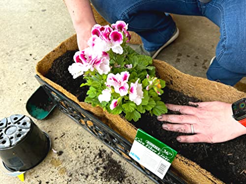 Bosmere F954 36-Inch Pre-Formed Replacement Coco Liner with Soil Moist for Rectangular Planter - Image 3