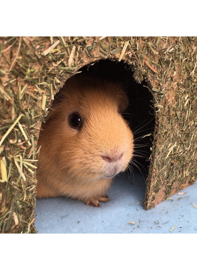 Rosewood Rosewood Naturals Carrot Cottage House for Guinea Pigs, Chinchillas and Degus, Medium  - Image 3