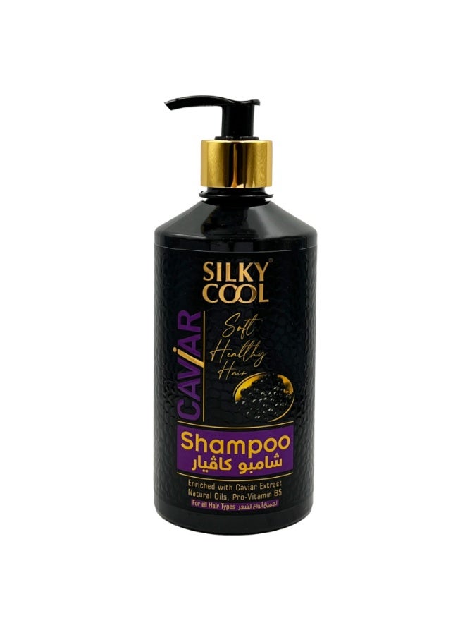 Silky Cool Caviar Hair Care Set – Shampoo, Conditioner, Hair Mask & Serums Set - Image 3