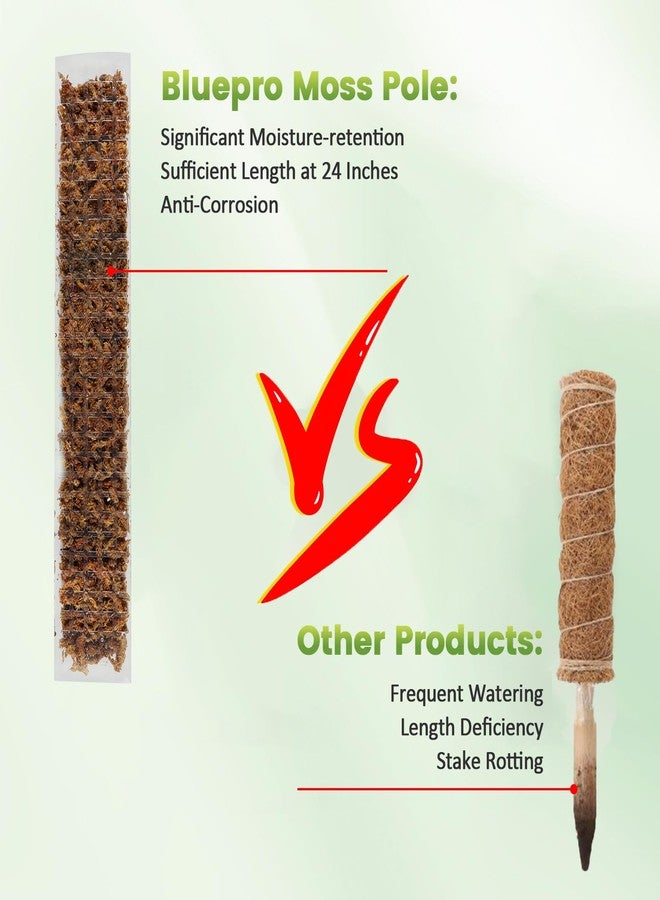 Bluepro 24 Inch 4 Pcs Plastic Moss Pole for Plants Monstera, 4×24'' Plant Poles for Climbing Plants, Plant Support for Indoor Plants Work with Sphagnum Moss - Image 4