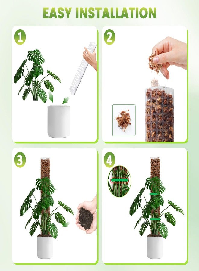 Bluepro 24 Inch 4 Pcs Plastic Moss Pole for Plants Monstera, 4×24'' Plant Poles for Climbing Plants, Plant Support for Indoor Plants Work with Sphagnum Moss - Image 5
