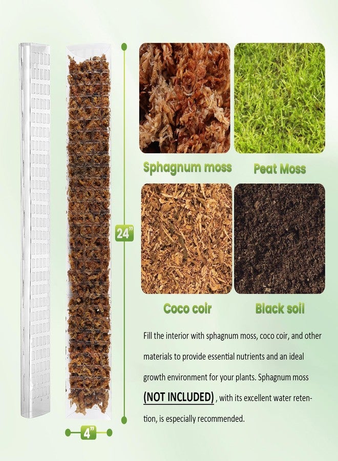 Bluepro 24 Inch 4 Pcs Plastic Moss Pole for Plants Monstera, 4×24'' Plant Poles for Climbing Plants, Plant Support for Indoor Plants Work with Sphagnum Moss - Image 2