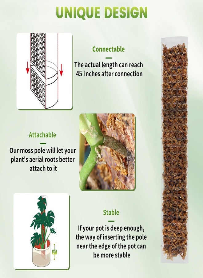 Bluepro 24 Inch 4 Pcs Plastic Moss Pole for Plants Monstera, 4×24'' Plant Poles for Climbing Plants, Plant Support for Indoor Plants Work with Sphagnum Moss - Image 3