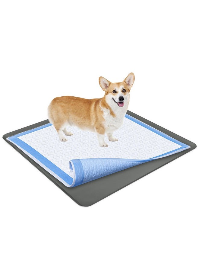 Skywin TidyFriend Dog Pad Holder Tray 36 x 36 Inches - Silicon Wee Wee Pad for Training, No Spill Pee Pad for Dogs - Easy to Clean and Store Perfect for Dog Potty Tray (Grey)  - Image 1
