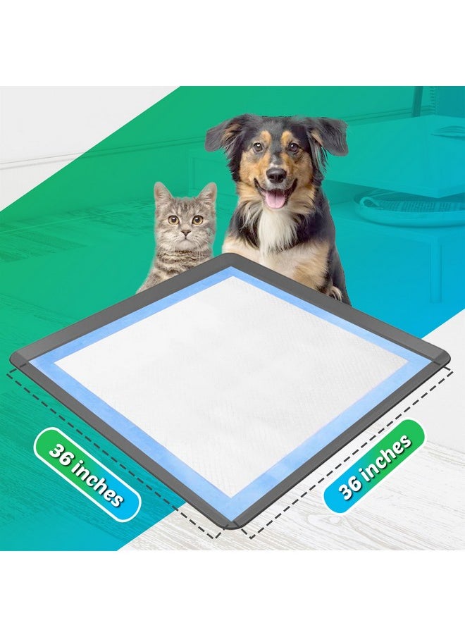 Skywin TidyFriend Dog Pad Holder Tray 36 x 36 Inches - Silicon Wee Wee Pad for Training, No Spill Pee Pad for Dogs - Easy to Clean and Store Perfect for Dog Potty Tray (Grey)  - Image 2