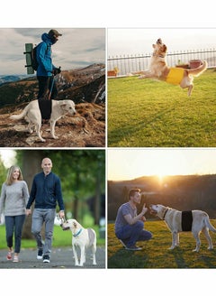 Excefore Male Dog Nappies Reusable Doggies Diapers Washable Male Dog Wraps Belly Band for Dogs Durable Puppy Diapers Physiological Diaper Pants for Various Types of Pet Dog M 3 Packs  - Image 3