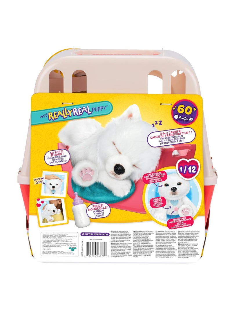 LITTLE LIVE PETS - My Really Real Puppy - Luna; Interactive Puppy; 60+ Sounds/Reactions; Realistic Look; 1 out of 72 Variants; Playset with Transport Box; Batteries Included; Ages 5+ - Image 1