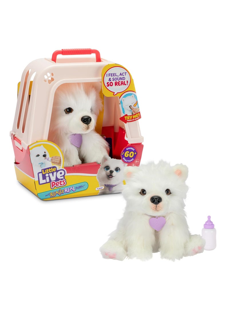 LITTLE LIVE PETS - My Really Real Puppy - Luna; Interactive Puppy; 60+ Sounds/Reactions; Realistic Look; 1 out of 72 Variants; Playset with Transport Box; Batteries Included; Ages 5+ - Image 1