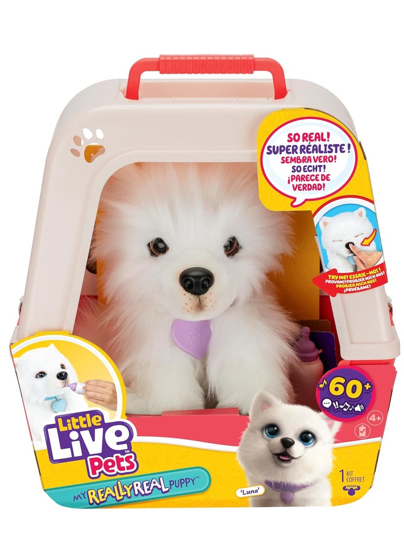 LITTLE LIVE PETS - My Really Real Puppy - Luna; Interactive Puppy; 60+ Sounds/Reactions; Realistic Look; 1 out of 72 Variants; Playset with Transport Box; Batteries Included; Ages 5+ - Image 1
