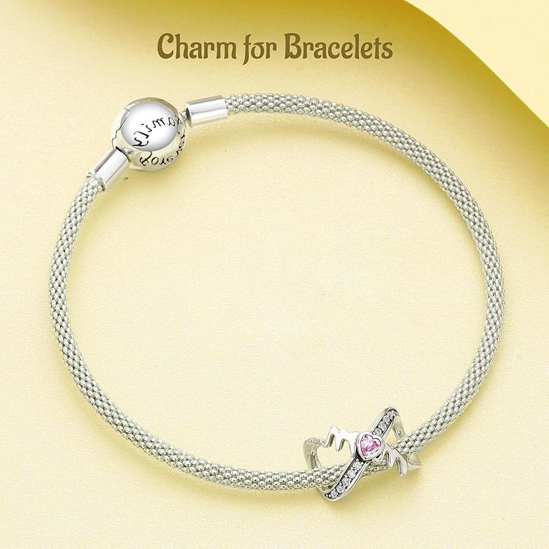 NUNUYAYA Charms Beads 925 Sterling Silver Love Mom Animal Dangle Pendant with 5A Cubic fits for Charms Bracelets for Woman Mother's Day Christmas Halloween Birthday Gift - Image 5