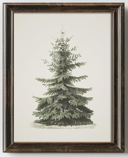 Kizbok Kizbook Christmas Wall Art Print, Vintage Christmas Pine Tree Art Prints Painting, Rustic Fir Botanical Sketch Christmas Winter Wall Art Poster, Vintage Christmas Decor for Holiday (8"x10"-Unframed) - Image 1