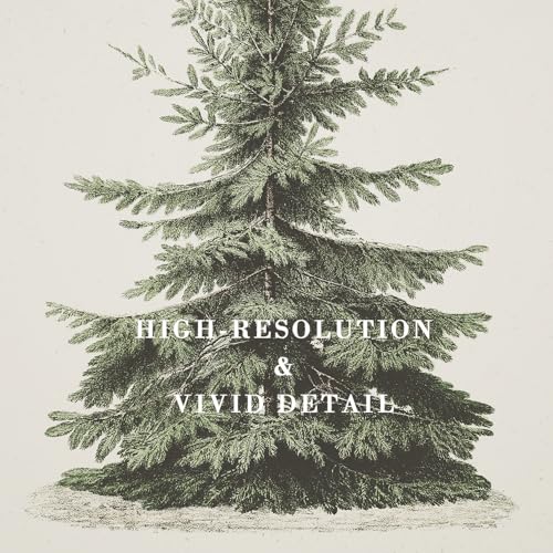Kizbok Kizbook Christmas Wall Art Print, Vintage Christmas Pine Tree Art Prints Painting, Rustic Fir Botanical Sketch Christmas Winter Wall Art Poster, Vintage Christmas Decor for Holiday (8"x10"-Unframed) - Image 2