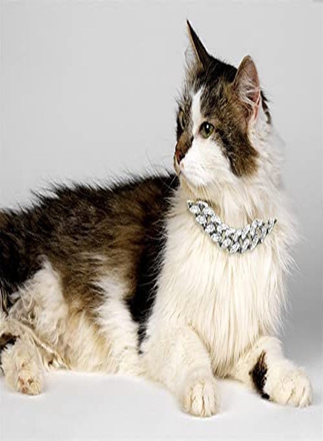 Halukakah Cat Collar - Carat - Iced Out Diamond Cuban Link Gold Chain for Cats & Kittens - Platinum Plated 9" Collar Size - for Decoration Only - Get Your Cat Catwalk Ready - Image 3
