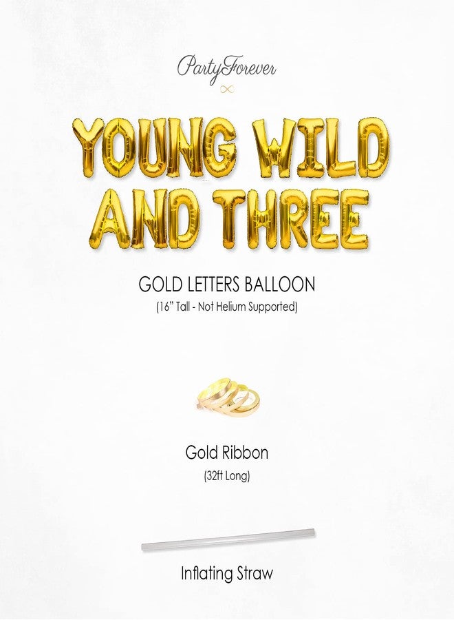 بارتي فور إيفر لافتة زينة حفلة عيد الميلاد الثالث من PartyForever Young Wild And Three Balloons باللون الذهبي - Image 5