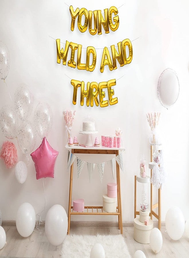 بارتي فور إيفر لافتة زينة حفلة عيد الميلاد الثالث من PartyForever Young Wild And Three Balloons باللون الذهبي - Image 3