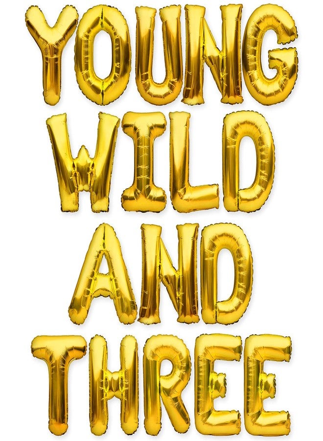 بارتي فور إيفر لافتة زينة حفلة عيد الميلاد الثالث من PartyForever Young Wild And Three Balloons باللون الذهبي - Image 1