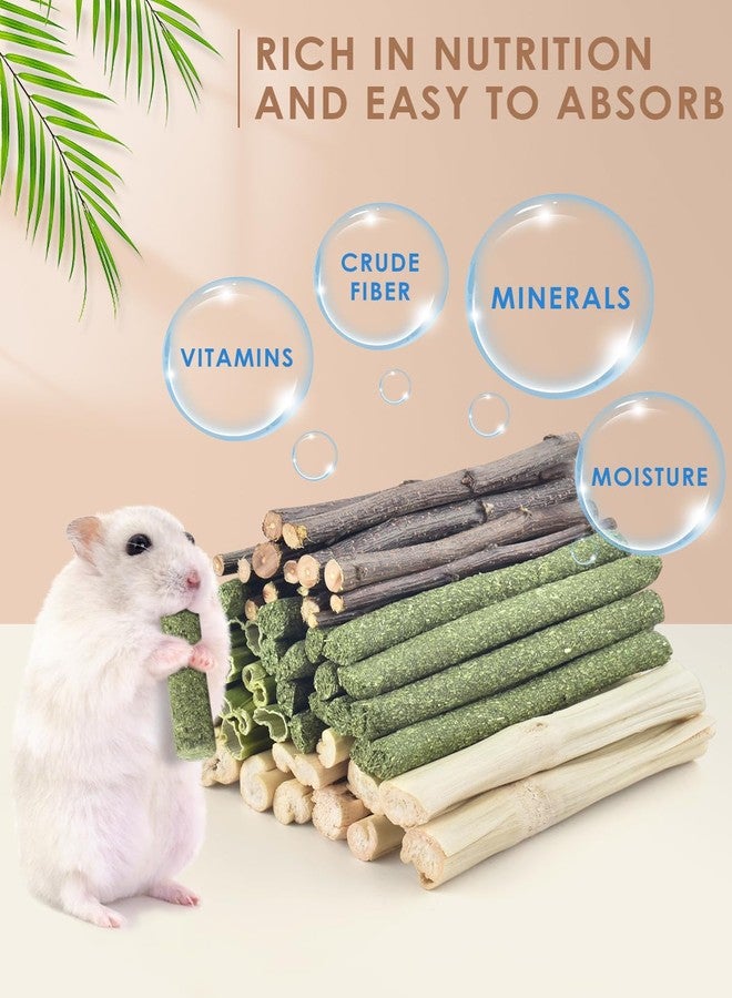 Bissap 60 PCS Rabbit Chew Sticks, Sweet Bamboo Timothy Hay Chew Stick Papaya Stems Apple Branch Bunny Chews for Rabbit Hamster Chinchilla Guinea Pig Small Pet Natural Molar Treats - Image 2