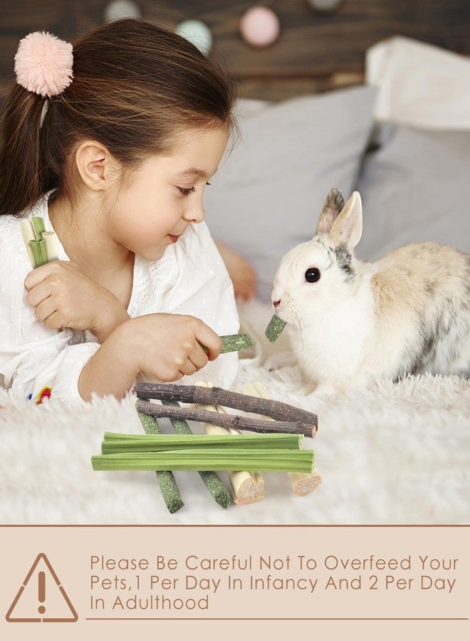 Bissap 60 PCS Rabbit Chew Sticks, Sweet Bamboo Timothy Hay Chew Stick Papaya Stems Apple Branch Bunny Chews for Rabbit Hamster Chinchilla Guinea Pig Small Pet Natural Molar Treats - Image 4