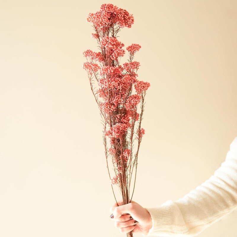 Arte Casa Arte Casa Dried Rice Flower Elegant Flower Bunch for Home Decor Unique and Stylish Gift for Special Occasions Ideal for Anniversary Valentines 3 Stems with Multiple Branches Dark Pink  - Image 5