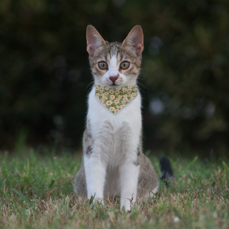 2Pcs Cat Triangle Scarf Collar Kitten Tie Collar Pet Costume Accessories - Image 4