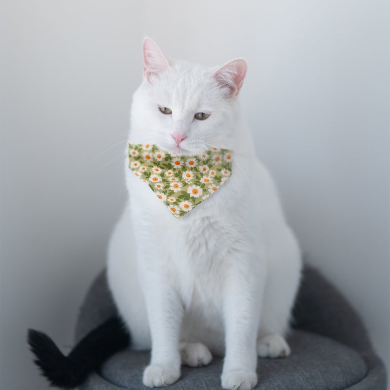 2Pcs Cat Triangle Scarf Collar Kitten Tie Collar Pet Costume Accessories - Image 2