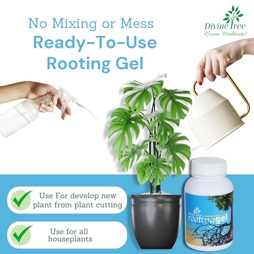 DIVINE TREE Rooting Gel – Rooting Hormone Liquid for Plants Cuttings | Grow Root Hormone & Root Booster for Fast Propagation | Best for Hardwood, Semi-Hardwood & Softwood Cuttings (100 ml) - Image 3