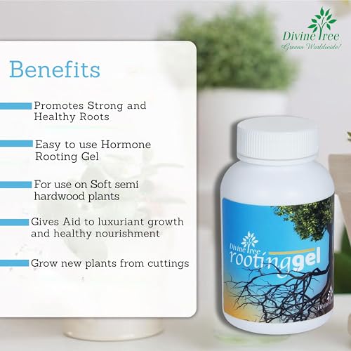 DIVINE TREE Rooting Gel – Rooting Hormone Liquid for Plants Cuttings | Grow Root Hormone & Root Booster for Fast Propagation | Best for Hardwood, Semi-Hardwood & Softwood Cuttings (100 ml) - Image 4