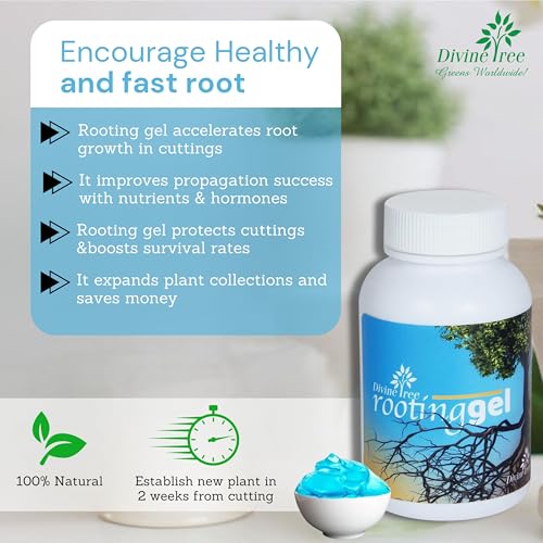 DIVINE TREE Rooting Gel – Rooting Hormone Liquid for Plants Cuttings | Grow Root Hormone & Root Booster for Fast Propagation | Best for Hardwood, Semi-Hardwood & Softwood Cuttings (100 ml) - Image 5