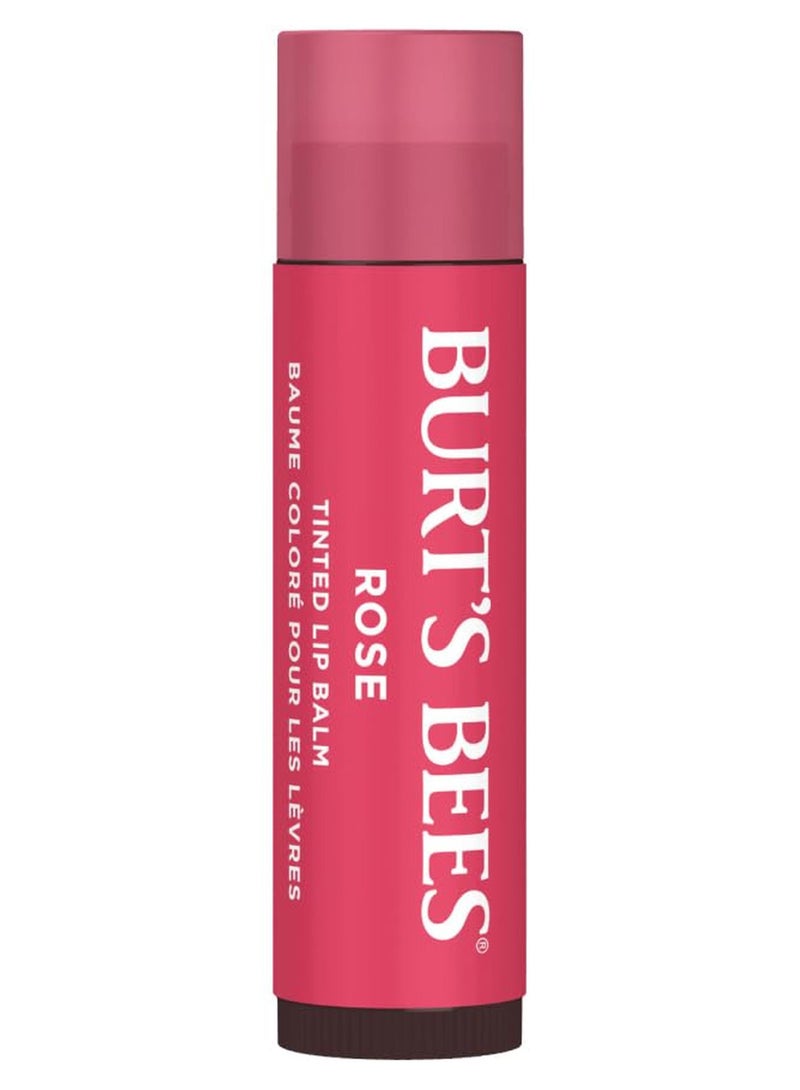 Burt's Bees Lip Tint Balm Valentines Day Gifts with Long Lasting 2 in 1 Duo Tinted Balm Formula, Color Infused with Hydrating Shea Butter for a Natural Looking Buildable Finish, Petal Rose 1 Pc Packaging May Vary - Image 1