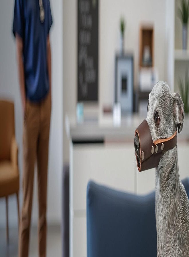 JorVet Leather Muzzle for Dog | Comfortable & Durable to Prevent Biting | Vet-Approved for Safety | Adjustable & Secure Fit | Medium | Brown - Image 2