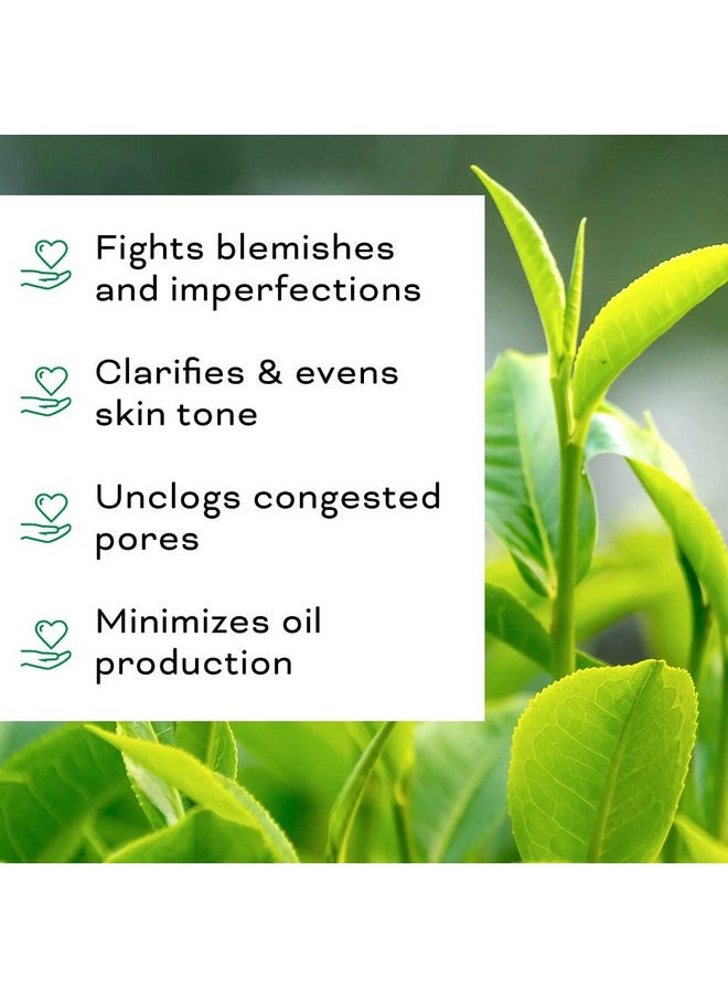 Beauty Foundry Beauty Foundry Clarifying Tea Tree Facial Oil, Targets Acne and Uneven Skin Tone, Antioxidant-Rich Beauty Oil, 1-fl oz/30ml (1 Pack)  - Image 4