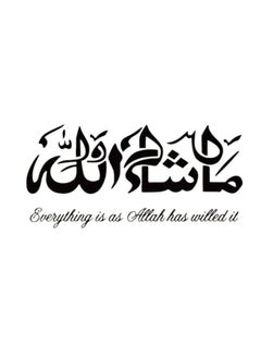 Generic Art Decal For Car Stickers 20x9.5CM 