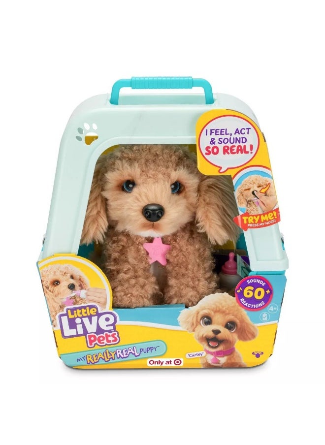 LITTLE LIVE PETS - Little Live Pets My Really Real Puppy Curley The Cavoodle Plush Toy - Image 1