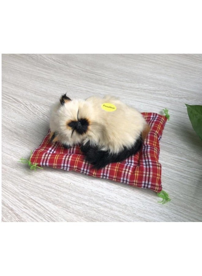 Realistic Simulation Model An Animal/plant - Toy For Children's Play-Color:Beige Seal Siamese Cat - Image 1