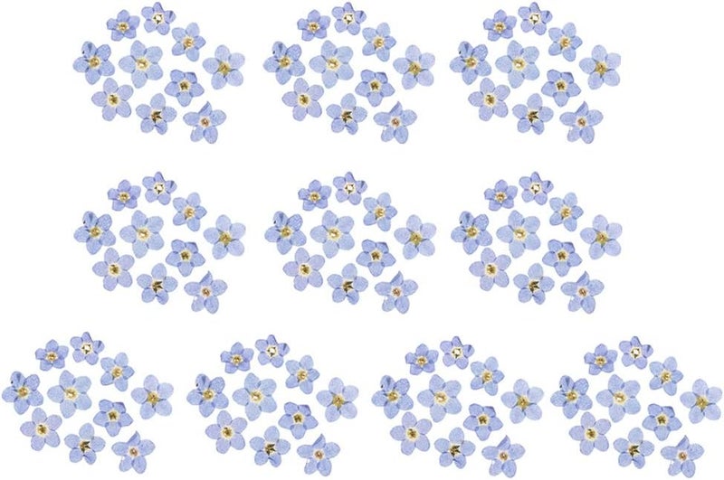 klarako100pcs زهور طبيعية مجففة نسيان klarakomeklarakonot تزيين غلاف الهاتف DIY - Image 1
