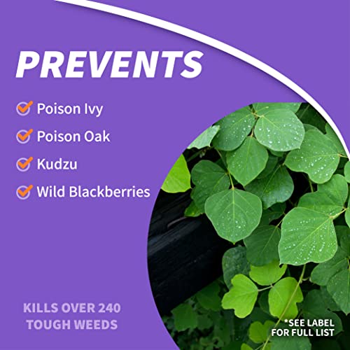 Bonide Poison Ivy & Brush Killer BK-32, 32 oz Concentrate, Completely Kills Roots without Harming Lawn and Grass - Image 3