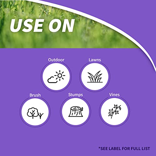 Bonide Poison Ivy & Brush Killer BK-32, 32 oz Concentrate, Completely Kills Roots without Harming Lawn and Grass - Image 2