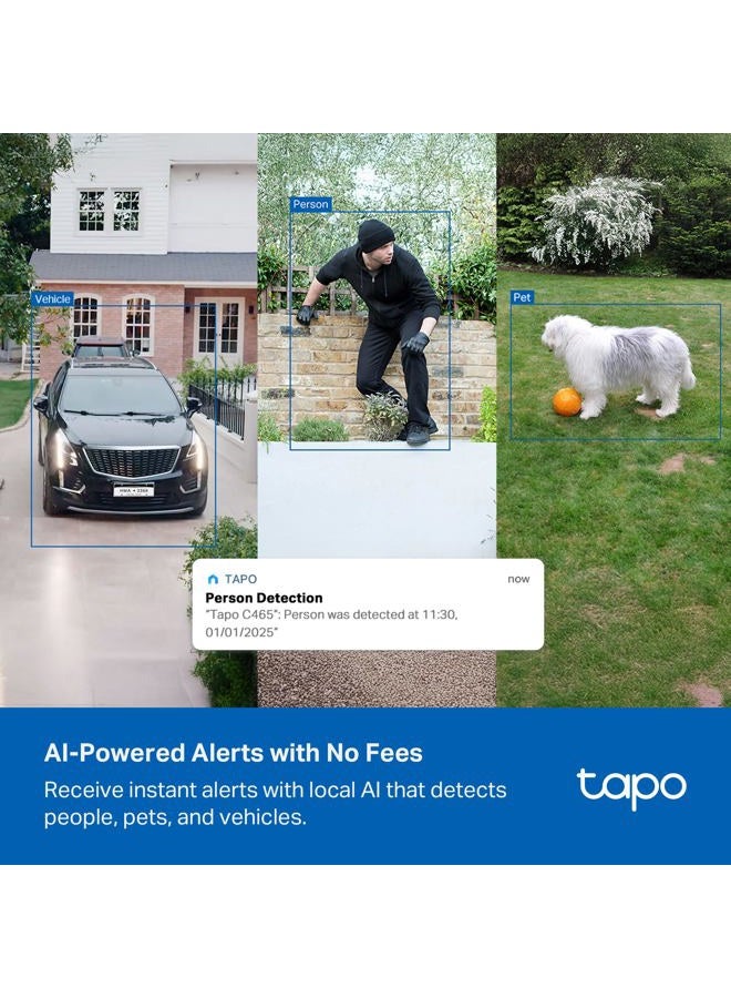 tapo 4K Outdoor Battery Camera Wireless, Security Camera with Integrated Solar Panel, Person/Vehicle/Pet Detection, Works w/Alexa & Google Assistant, Color Night Vision, SD/Cloud Storage, C465 - Image 4