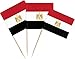 JAVD CYPS 100 Pcs Egypt Flag Egyptian Toothpick Flags Small Mini Stick Cupcake Toppers Egyptian FlagsCountry Picks Party Decoration Celebration Cocktail Food Bar Cake Flags - Image 3