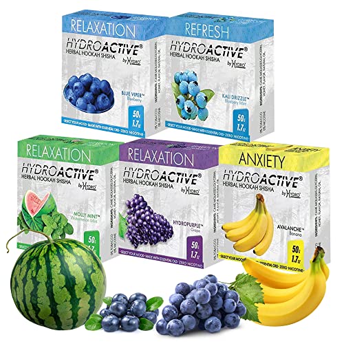 HydroActive Hookah Flavors With Essential Oils, Relaxation Mix Hookah Shisha in Blueberry, Banana, Blueberry Mint, Watermelon Mint, Grape Flavor Set, Hookah Flavors Nicotine Free, 50-Gram 5 Packs - Image 1