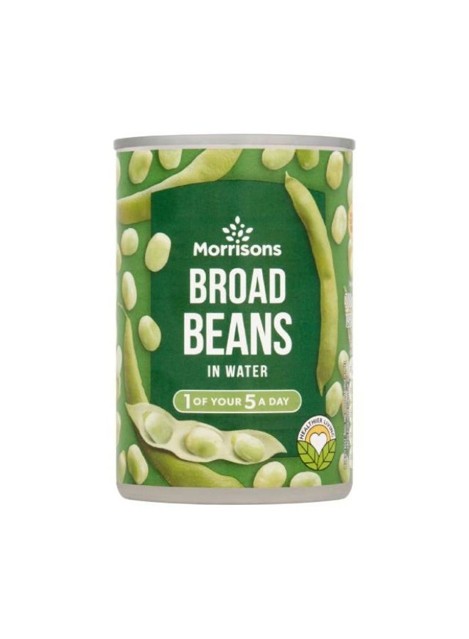 Broad Beans, In Water - 300g, South Africa