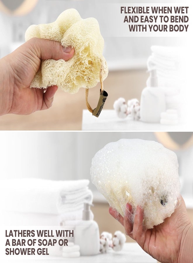 Almooni Mini Natural Loofah Sponge - Real Egyptian Shower Exfoliating Loofah - Small Loofah Scrubber for The Perfect Grip - 3 Count(1 Pack) - Image 3