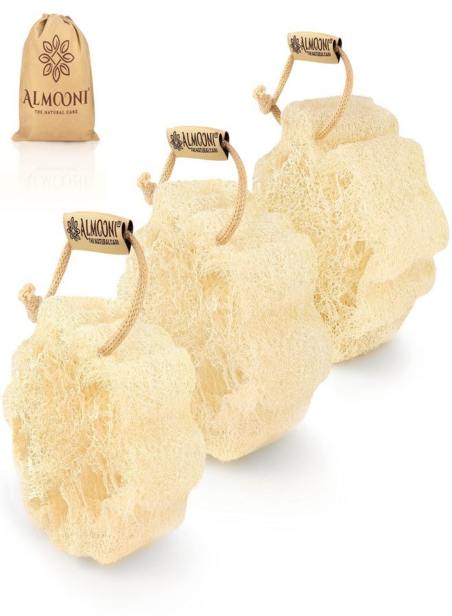 Almooni Mini Natural Loofah Sponge - Real Egyptian Shower Exfoliating Loofah - Small Loofah Scrubber for The Perfect Grip - 3 Count(1 Pack) - Image 1
